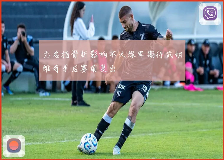 无名指骨折影响不大绿军期待武切维奇季后赛前复出